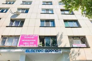 Electro Gorod 1